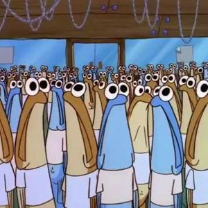 Meet your Posher, Kyle